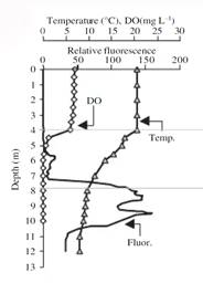 Diagram, schematic

Description automatically generated